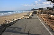 Japan earthquake_20110331 (55).jpg